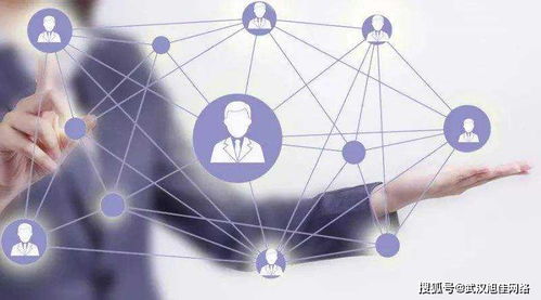 企業網站制作費用差異在哪里？深入解析互聯網上網服務的成本因素